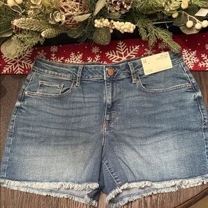 a.n.a Blue Jean Shorts